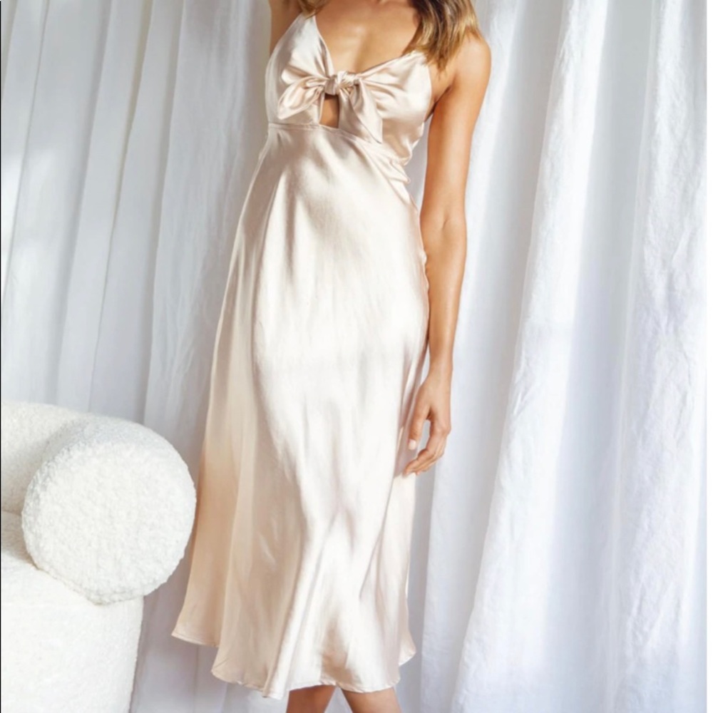 Selfie Leslie Champagne Dress